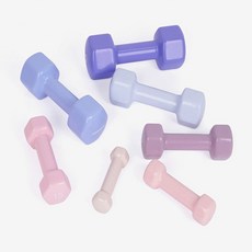 단골상회 육각 덤벨 아령 5kg 블루베리 2개 헬스장덤벨