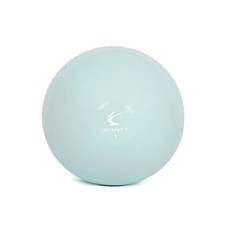 모아올림 운동 토닝볼 1kg 2개 요가소도구