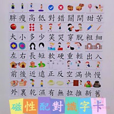 磁性識字卡 繁體中文 圖文配對 幼兒互動 認字卡 反義詞訓練 磁吸卡, 1個, 無磁300張字卡