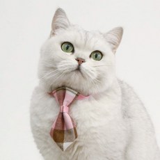 네오바트 컬러 체크 강아지 고양이 반려동물 보타이 넥타이, 핑크체크, 1개