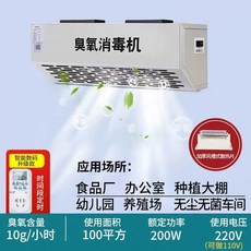 오존기 오존 생성기 오존생성기 20G 음이온 석영관 시간당, K. 220V10g 카운트다운 및 사이클, K. 220V10g 카운트다운 및 사이클