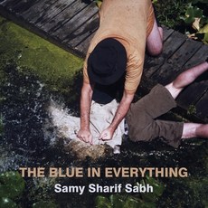 (英文圖書)The Blue in Everything 平裝版, Blue Byron Books, 英文
