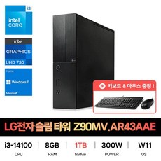 SP_LG전자 슬림타워 데스크탑 Z90MV.AR43AAE SSD 1TB교체 재고보유