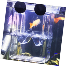 구피치어부화통 안전한 수조 환경 유지 어린이 어항용 최적 제품, 1개