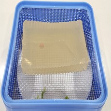 해피이지디자인 사각 묵채 청포묵채, 사각묵채 2호
