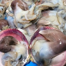 여수직송 프리미엄 검정 손질새조개 당일조업 빙장포장, 1세트, 500g