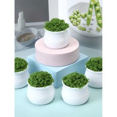 미니 화병 플라스틱 소형 화분 거실 식탁 장식, 5x4 작은 그릇 20개 세트
