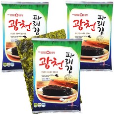 광천김 광천김공장 파래 전장김 파래김, 20g, 10개