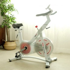 사이먼 스핀바이크 SB10