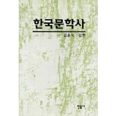 minumsa 韓國文學史, 金允植, 金炫