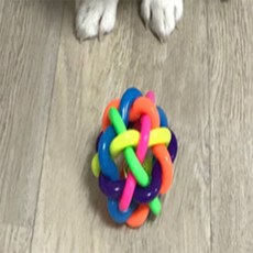 지니스 강아지라인볼 멍멍이장난감