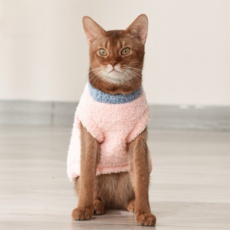 고양이 구름솜 베스트 겨울가을 따뜻한 복식, 1개, 분홍색