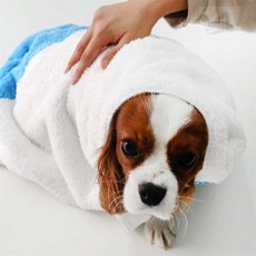 조은 강아지 목욕수건 펫용품