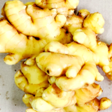 25년 국내산 햇 생강 저장생강 특품 알뜰 흙생강 깐생강 경북영주, 1박스, 세척생강(알뜰) 500g