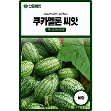산들마켓 쿠카멜론 오이씨앗 10립 수박처럼 생긴 멕시코의 미니 오이씨 종자, 2개