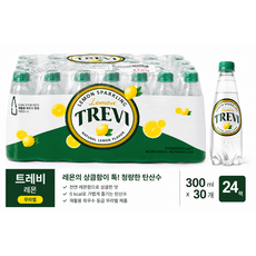 굿픽샵 코스트코 트레비 레몬 탄산수 300ml 0병 무라벨 제로칼로리 레몬향 탄산음료+홍삼스틱증정, 60개