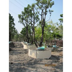 萬美園藝資材 不織布 阻根板 擋土板 工廠直營, 阻根導板5尺長*15公分高