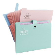 배로나 편리한 똑딱이 파일케이스 수납력 12칸, 2개, 민트핑크