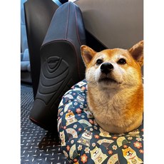 MTRT FORCE2.0 FORCE二代 沙發坐墊 麂皮 夜光LOGO 開模坐墊 機車坐墊, 1個