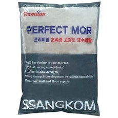 초속경 고강도 무수축 보수몰탈 퍼펙트몰 시멘트 2kg 쌍곰 아덱스, 2개