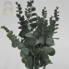 SolSun 조화 유칼립투스 B 조화식물