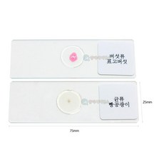 중등 과학실 현미경용 빵곰팡이 표고버섯 영구표본 프레파레트 교육실 과학부 방과후학교