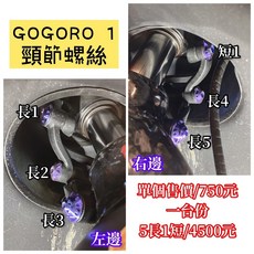 【TiONLY】鈦鴻利 GOGORO 1 外觀螺絲:頸節螺絲 前避震螺絲 鈦螺絲(一台份), 5長1短=共6支, 1個
