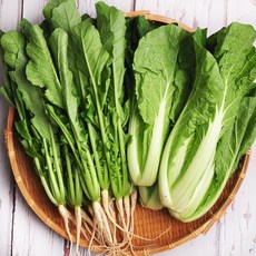 [포천직송] 당일수확 아삭아삭 연한 열무/얼갈이, 1개, 얼갈이 4kg, 얼갈이 4kg