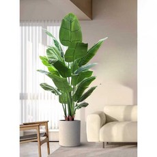 극락조 조화나무 여인초 테라스 인테리어 가짜 개업 카페 0.9m 극락조