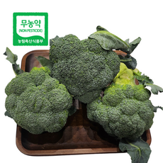 [한국유기팜] 국내산 제주 친환경 무농약 브로콜리, 300g, 5개