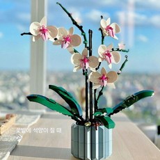 로즈 부케 플라워걸즈 조립 블록 꽃다발 장난감 발렌타인데이 선물, 난초 화분+600 알갱이