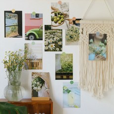 벽장식 소품 인테리어 벽꾸미기 감성 엽서 데코 엽서 세트 모음 엽서 10p + 스티커 세트, 그린(Greenery Garden)