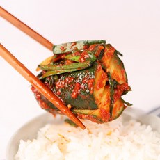 [말바우시장 선김치] 아삭하고 시원한 국내산 전라도 오이소박이 김치, 5kg, 1개