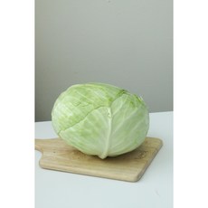 국내산 싱싱한 양배추 1.2kg 2개