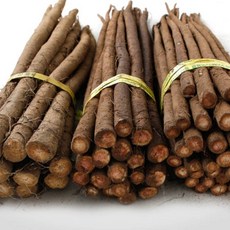 식이섬유가 풍부한 국내산 햇 우엉 산지직송 우엉차 우엉조림, 1개, 1kg