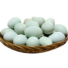 귀한 청란 자연방사 유정란 청계알 친환경인증 무항생제 동물복지 HACCP인증 계란 달걀, 1세트, 40구