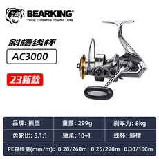 熊王 AC6000/AG6500 全金屬紡車輪 斜槽/平槽 遠投 釣魚輪, 1個, 銀色-斜槽線杯-3000型