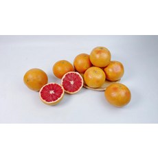 프리미엄 자몽 이스라엘산 5개, 5개(소) x 1박스