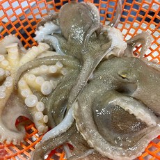 국내산 서해안 활 쭈꾸미, 1박스, 4kg(30-50미)