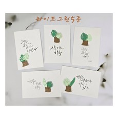 몬스테라 5종 4x6엽서 세트. 다이컷플라워 캘리준비몰, 1.엽서만, 1.라이트그린