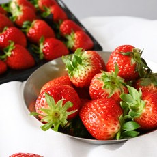 고당도 설향딸기 생딸기 당일수확 킹스베리 금실 비타베리 겨울 딸기 한입사이즈 350g