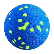 ETPU 안티바이트 강아지 공 - 고탄성 내구성 있는 씹는 장난감 다채로운 색상의 둥근 인터랙티브 훈련 공, 02 L, 02 Blue