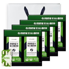 프롬바이오 관절연골엔 보스웰리아 + 쇼핑백, 30정