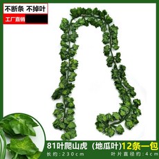 仿真葡萄葉藤蔓爬山虎藤條，常青藤綠蘿植物假綠葉吊頂裝飾，台灣熱銷綠植裝飾, 81葉彩印爬山虎（地瓜葉（12條裝）, 1個