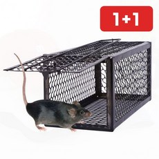 가정용 업소용 쥐덫 안전한 대형 쥐잡이틀 재사용 포획기 1+1, 1개, onda 쥐덫