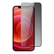 AGC 旭硝子 iPhone 12 Pro Max 全覆蓋防窺鋼化膜 9H硬度防指紋, 1入