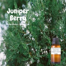 杜松漿果純精油 Juniper Berry Pure Essential Oil, 1個, 150ml