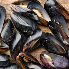 디쓰리포 자연산홍합 홍합 3kg