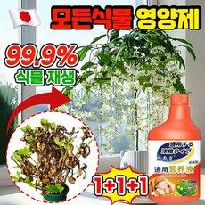 [쉬움 사용] 모든식물 영양제 화분 영양제 행잉자스민 화분 개화촉진제 꽃 식물 토양 영양제 사은품 랜덤증정, 3개, 499g