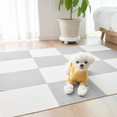 펫트리움 반려동물용 미끄럼방지매트 10입 애견매트, 샌드베이지